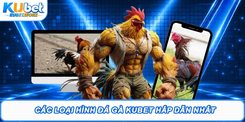 Các loại hình Đá gà Kubet hấp dẫn nhất