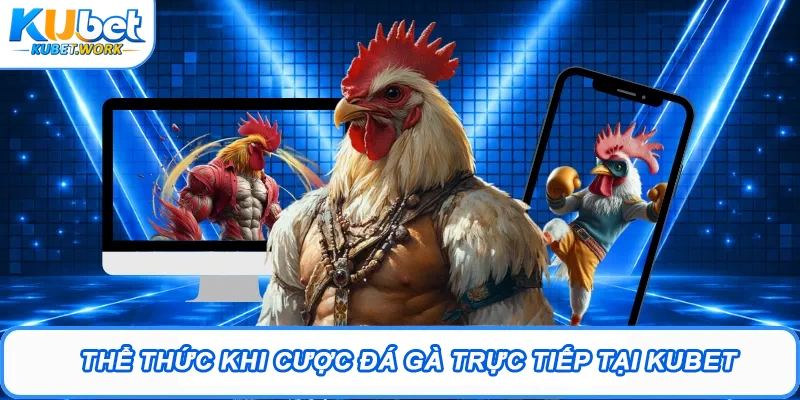 Thể thức khi cược Đá gà trực tiếp tại Kubet