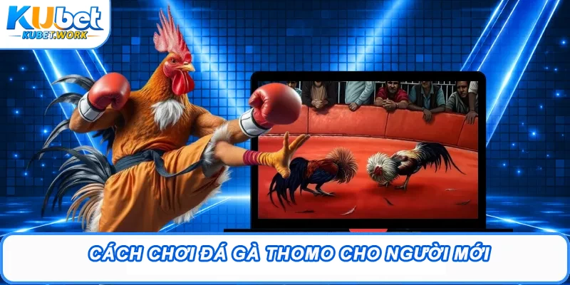 Đá Gà Thomo Là Gì? Thông Tin Chi Tiết Tân Binh Cần Biết 3 Cách chơi đá gà Thomo cho người mới