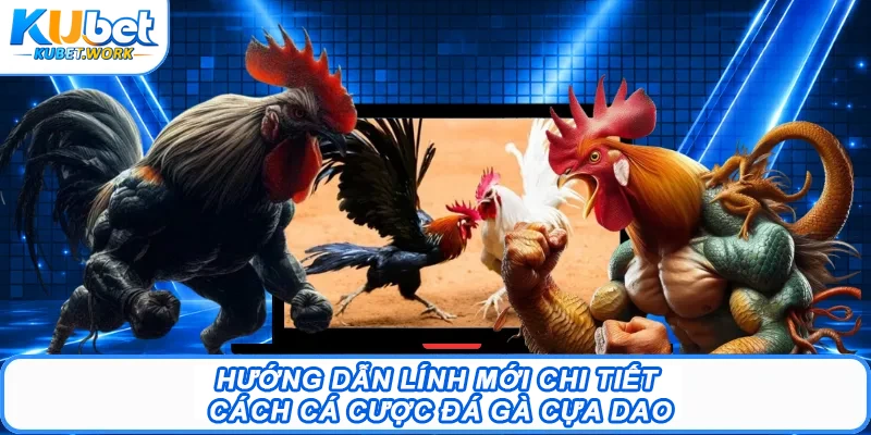 Đá Gà Cựa Dao Kubet – Trận Đấu Kịch Tính, Cược Hấp Dẫn 2 Hướng dẫn lính mới chi tiết cách cá cược đá gà cựa dao
