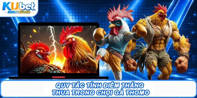 Đá Gà Thomo Là Gì? Thông Tin Chi Tiết Tân Binh Cần Biết 2 Quy tắc tính điểm thắng - thua trong chọi gà Thomo