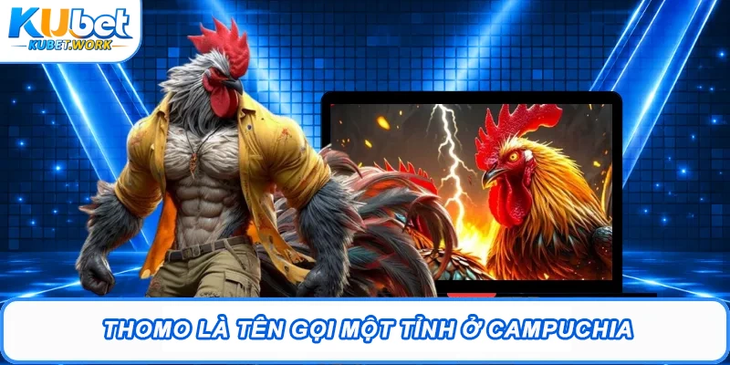 Đá Gà Thomo Là Gì? Thông Tin Chi Tiết Tân Binh Cần Biết 1 Thomo là tên gọi một tỉnh ở Campuchia